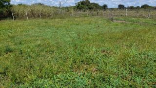 Sítio no bairro Matinha