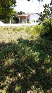 Sítio no bairro Matinha