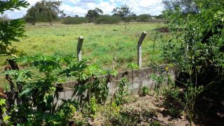 Sítio no bairro Matinha