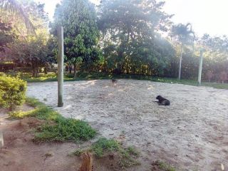 Sítio no bairro RURAL