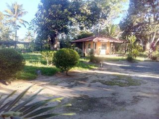 Sítio no bairro RURAL