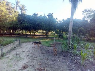 Sítio no bairro RURAL