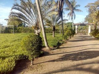 Sítio no bairro RURAL