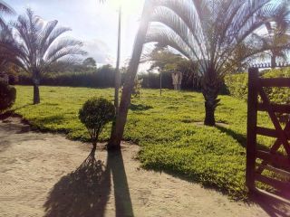 Sítio no bairro RURAL