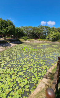 Lote no Eusébio á Venda no Botânico Terra Brasilis - Ceará
