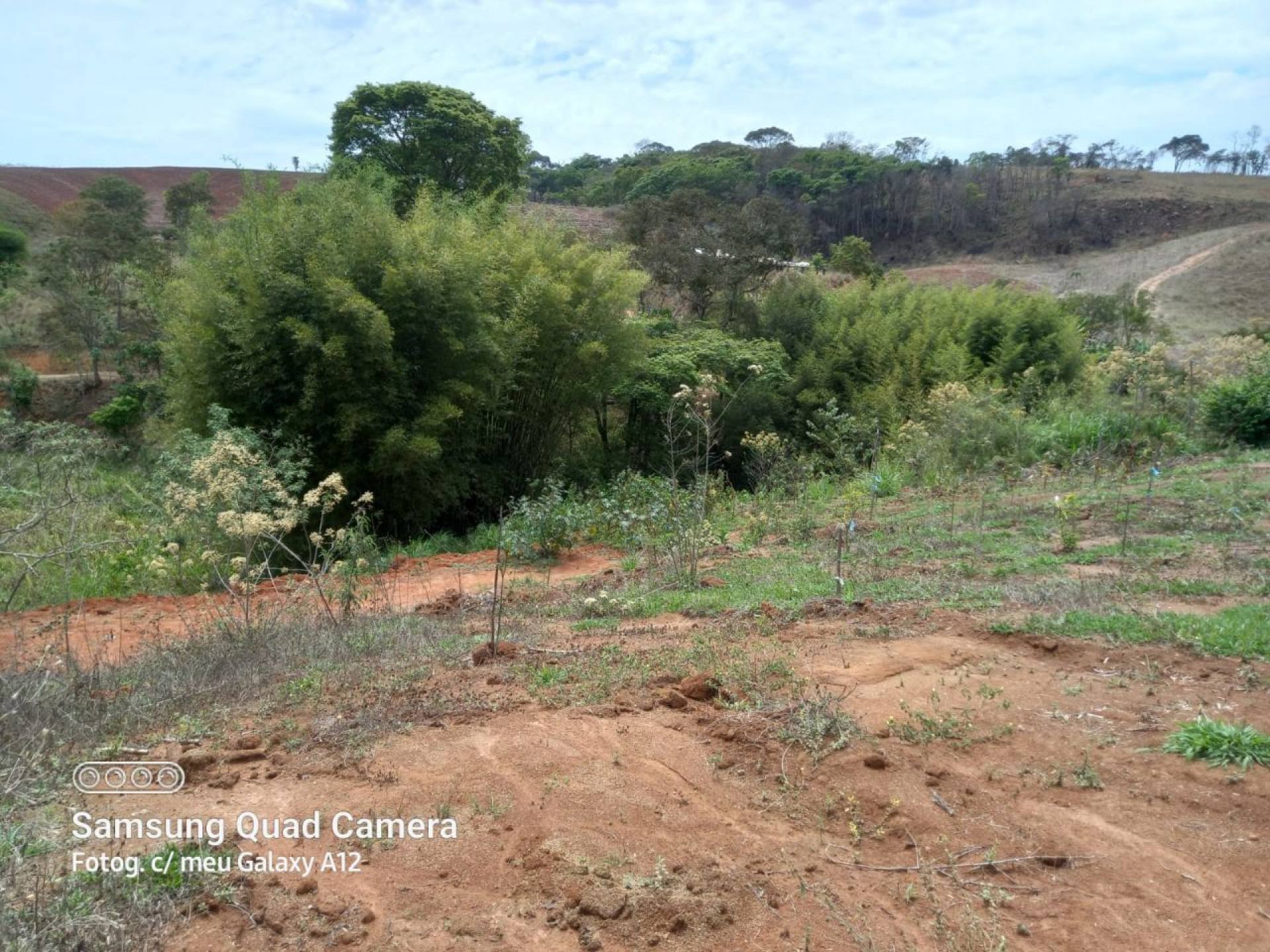 Chácara Para Vender no bairro Maias em Braúnas