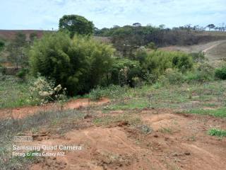 Chácara Para Vender no bairro Maias em Braúnas