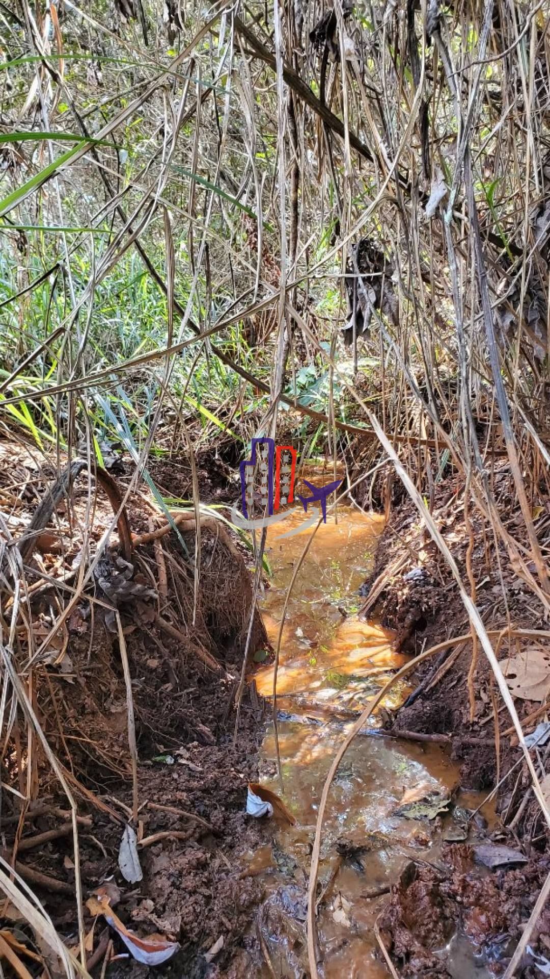 Lote / Terreno de Bairro Para Vender no bairro Zona Rural em Baldim