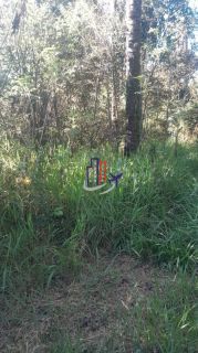 Terreno Para Vender no bairro Bandeirinhas em Betim