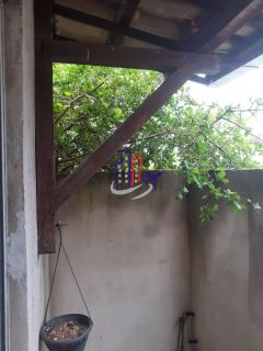 Casa Para Vender com 03 quartos 01 suíte no bairro Cenáculo em Belo Horizonte