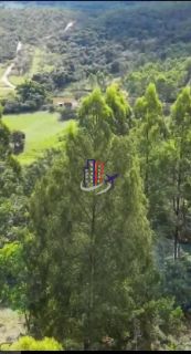 Sítio/Terreno Para Vender no bairro Povoado do Jacuba em Carmo Do Cajuru