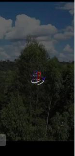 Sítio/Terreno Para Vender no bairro Povoado do Jacuba em Carmo Do Cajuru