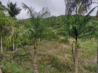 Chácara Para Vender em Caeté