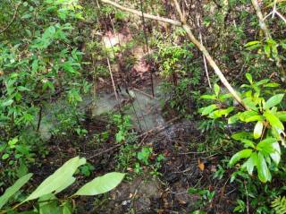 Chácara Para Vender em Caeté