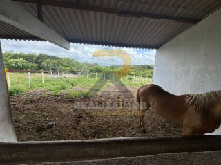 Casa no Campo á Venda próximo a Vila Peladas