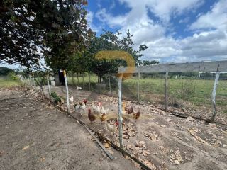 Casa no Campo á Venda próximo a Vila Peladas