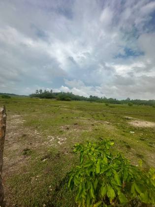 (MR) VENDA - TERRENO EM SANTO AMARO - MA