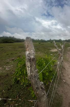 (MR) VENDA - TERRENO EM SANTO AMARO - MA