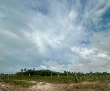 (MR) VENDA - TERRENO EM SANTO AMARO - MA