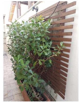 (MR) VENDA CASA - COND.BARCELONA NO CALHAU