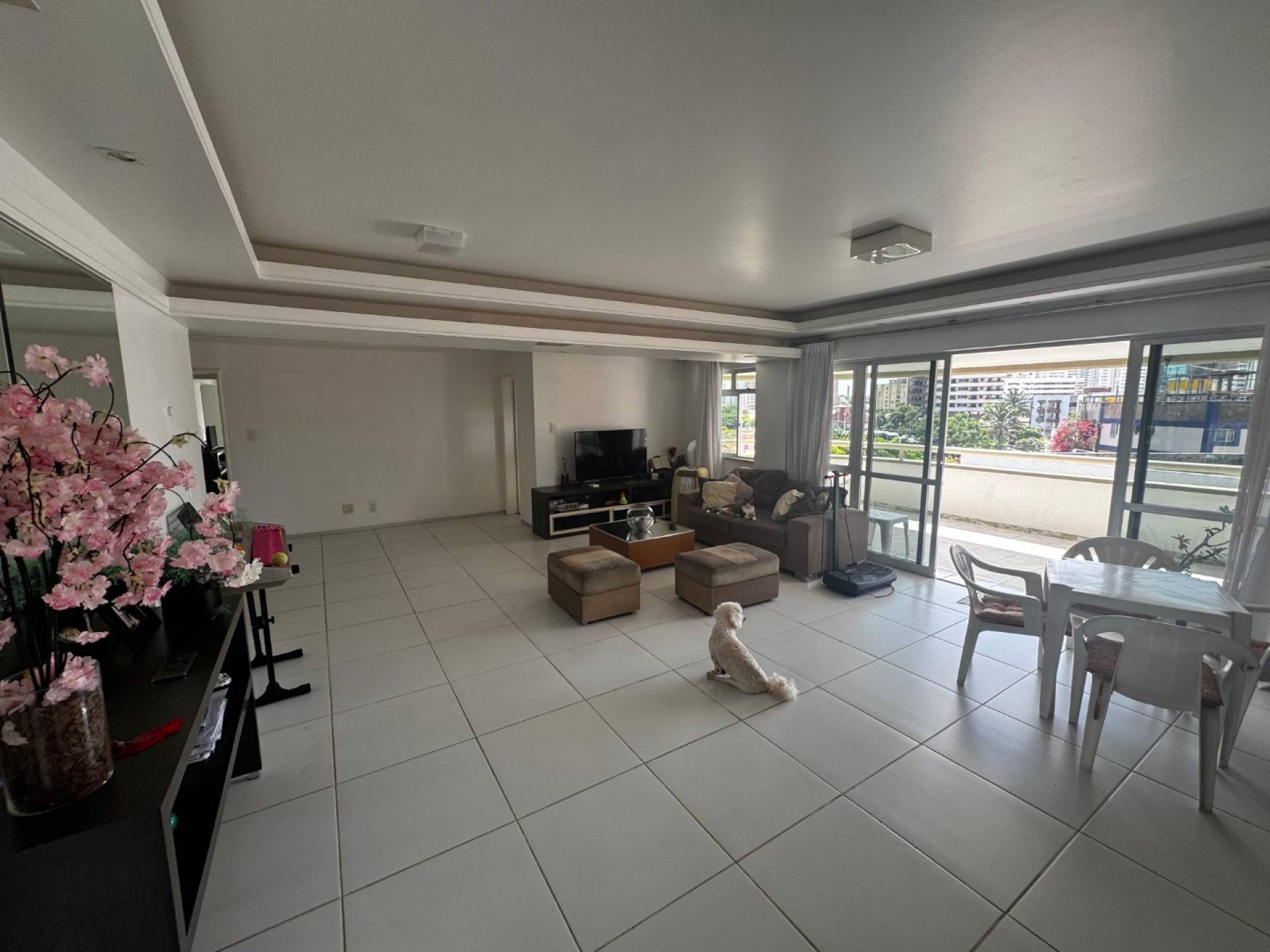 (MR) VENDA AP - CALLA DI VOLPE