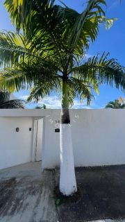 Casa no Condomínio Mares do Sul