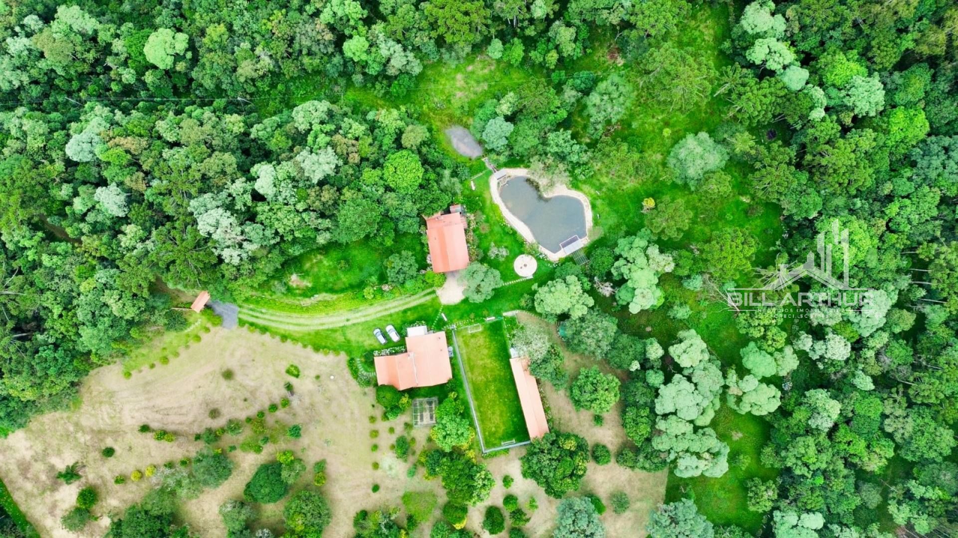 SÍTIO EM CAMPO ALEGRE O REFUGIO IDEAL EM MEIO A NATUREZA
