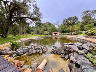 SÍTIO EM CAMPO ALEGRE O REFUGIO IDEAL EM MEIO A NATUREZA