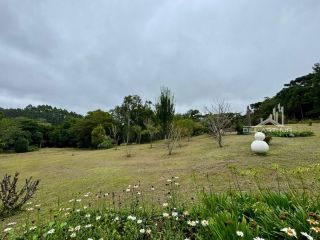 SÍTIO EM CAMPO ALEGRE O REFUGIO IDEAL EM MEIO A NATUREZA