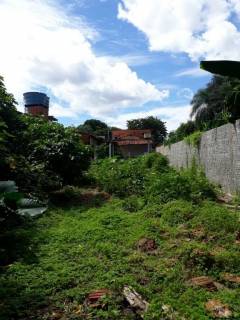 Terreno no bairro Manga