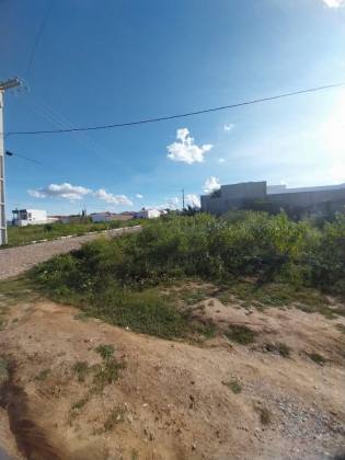 Terreno para Venda com 240 m² de área 12X20, com excelente localização no bairro do Sol Nascente (Nova Sertânia)