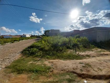 Terreno para Venda com 240 m² de área 12X20, com excelente localização no bairro do Sol Nascente (Nova Sertânia)