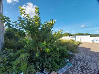 Terreno para Venda com 240 m² de área 12X20, com excelente localização no bairro do Sol Nascente (Nova Sertânia)