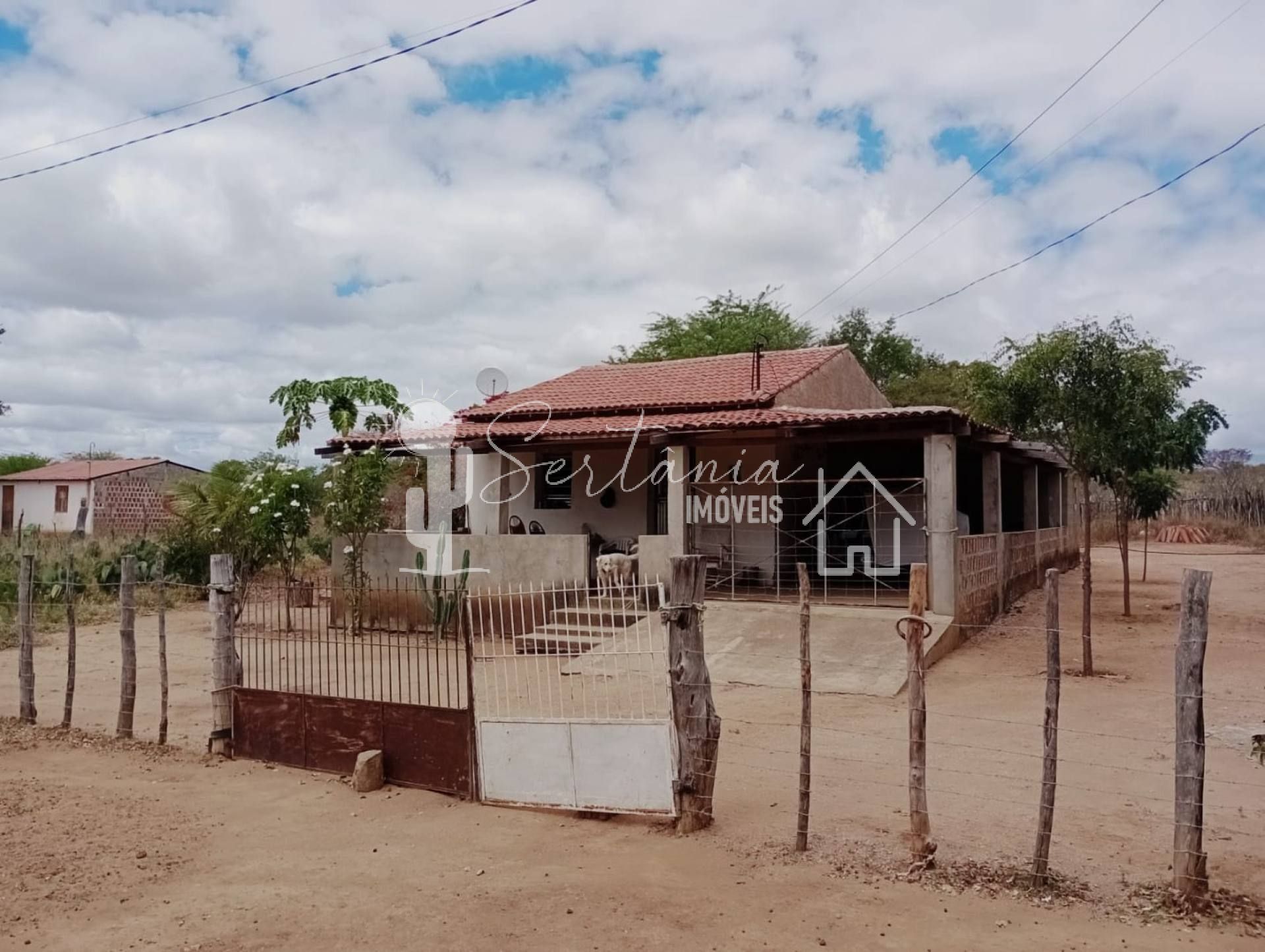 VENDE UM SITIO COM CASA NO JATOBÁ - POVOADO DE CAROALINA EM SERTÂNIA - PE