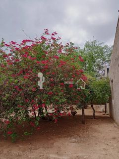 VENDE UM SITIO COM CASA NO JATOBÁ - POVOADO DE CAROALINA EM SERTÂNIA - PE