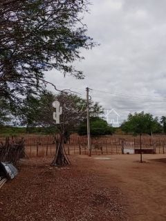 VENDE UM SITIO COM CASA NO JATOBÁ - POVOADO DE CAROALINA EM SERTÂNIA - PE