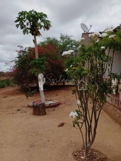 VENDE UM SITIO COM CASA NO JATOBÁ - POVOADO DE CAROALINA EM SERTÂNIA - PE