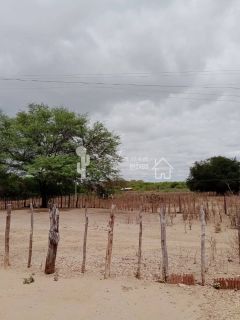 VENDE UM SITIO COM CASA NO JATOBÁ - POVOADO DE CAROALINA EM SERTÂNIA - PE