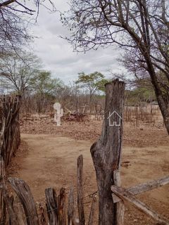 VENDE UM SITIO COM CASA NO JATOBÁ - POVOADO DE CAROALINA EM SERTÂNIA - PE