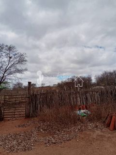 VENDE UM SITIO COM CASA NO JATOBÁ - POVOADO DE CAROALINA EM SERTÂNIA - PE