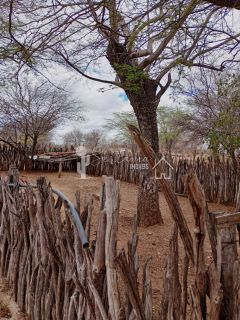 VENDE UM SITIO COM CASA NO JATOBÁ - POVOADO DE CAROALINA EM SERTÂNIA - PE