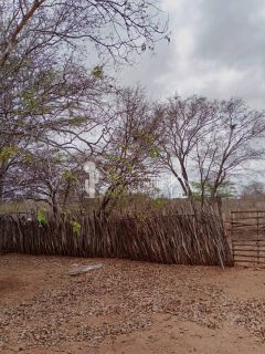 VENDE UM SITIO COM CASA NO JATOBÁ - POVOADO DE CAROALINA EM SERTÂNIA - PE