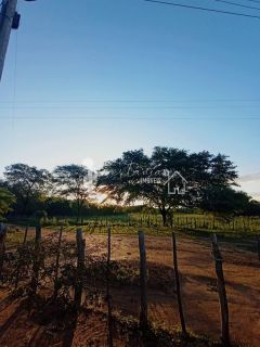 VENDE UM SITIO COM CASA NO JATOBÁ - POVOADO DE CAROALINA EM SERTÂNIA - PE