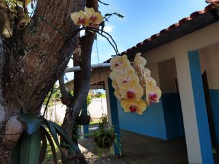 Chácara no Mosqueiro 