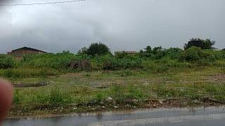 Terreno no Loteamento Rosa Maria