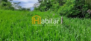 Fazenda- Sena Madureira