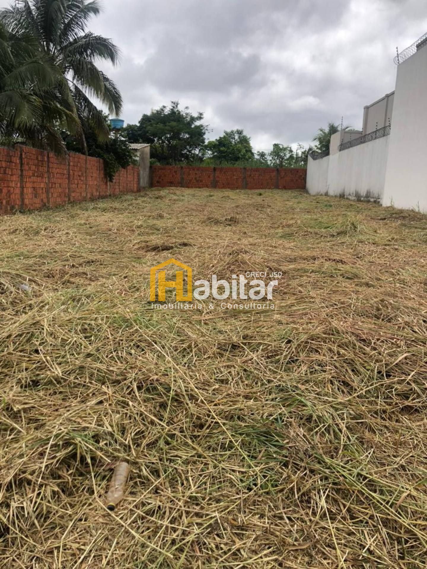 Lote- Rua dos Engenheiros