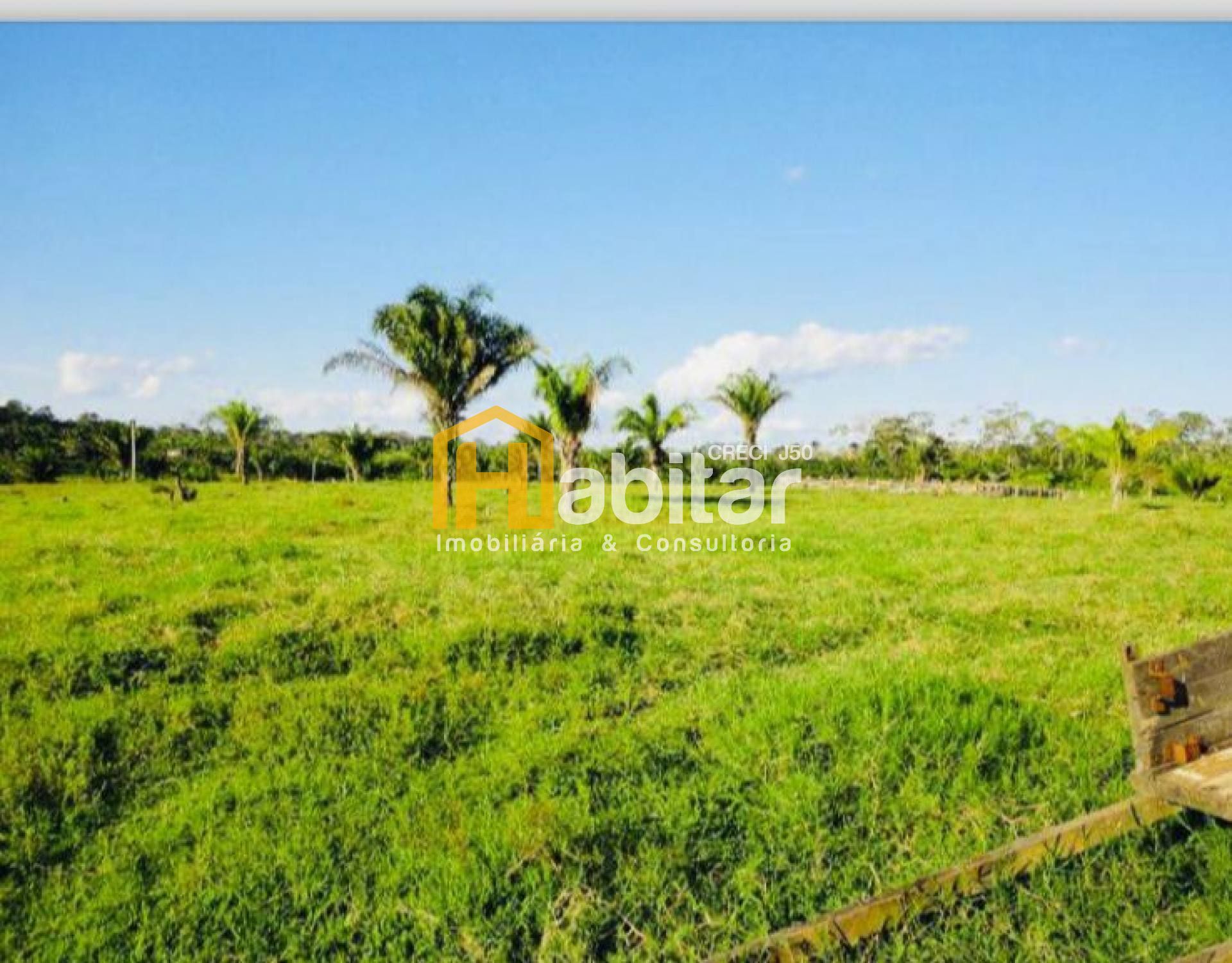Fazenda com 3.000ha - Acr