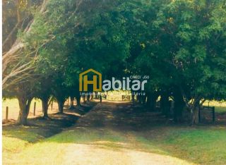 Fazenda com 3.000ha - Acr