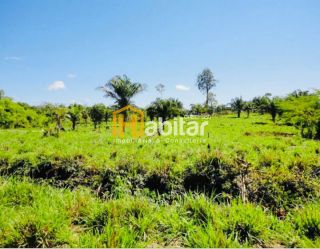 Fazenda com 3.000ha - Acr